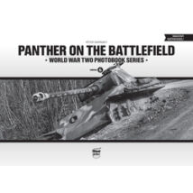 PANTHER ON THE BATTLEFIELD